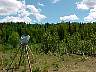 view120.jpg